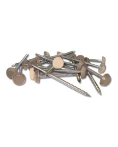 40mm Pale Gold Pins (250) RAL1013 *