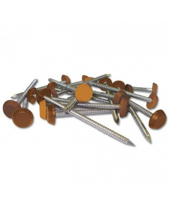 40mm Pins Irish Oak (250) RAL1011