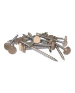 40mm Pale Gold Pins (250) RAL1013 *