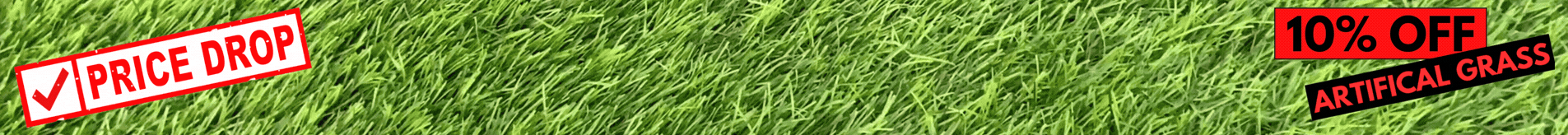 June Grass